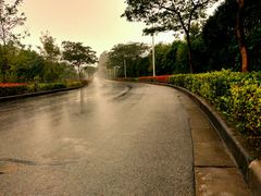 -上海市保健医疗中心(华东疗养院)