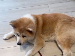 -YCHL Studios健身工作室(市二宫店)