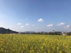 -光明小镇欢乐田园