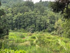 -阿哈湖国家湿地公园
