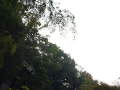 -团城山公园