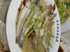 -长平老姿娘夜粥(平东一街店)