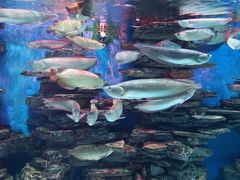 -多彩贵州城极地海洋世界