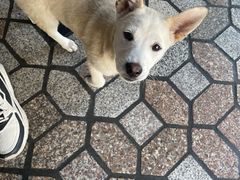 -好成财牛排馆(涂门街总店)