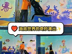 -太平洋海底世界