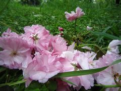 android_upload_pic-石峰公园