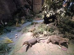 -陕西自然博物馆