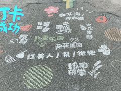 -菊园百果园