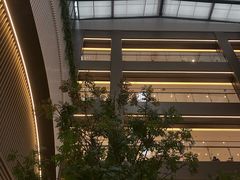 -汇德隆银隆