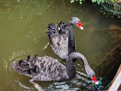 -千岛湖东南湖区