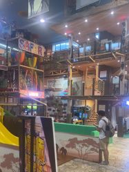 -卡通尼·Safari非洲探索乐园·生日会(金桥国际商业广场店)