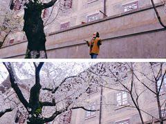 -武汉大学-樱园