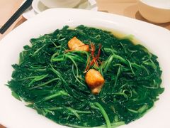 菠菜-陶陶居海鲜酒家(新马路店)