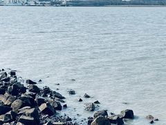 -上海滨江森林公园