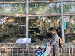 -柳州市动物园
