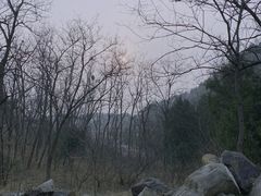 -北京西山国家森林公园