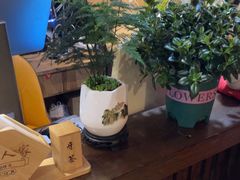 -西塘人家•黑金冠本地好店