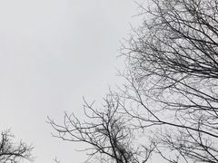 -五家山森林公园滑雪场