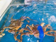 -清水湾3号(东方小周海鲜店)