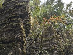 -梭布垭石林景区