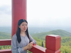 -蔡伦竹海