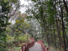 -南国桃园旅游度假区