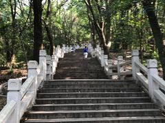 -灵岩山风景区