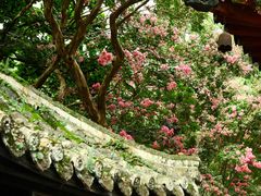 -报恩寺(平武县)