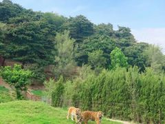 -沈阳森林动物园