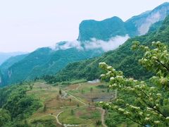 -鹿院坪生态旅游景区