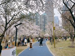 -西北湖绿化广场