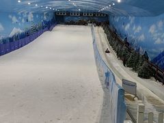 -世界之窗阿尔卑斯冰雪世界