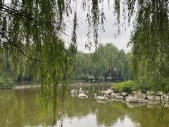 -清凉山国家森林公园