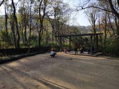-西湖风景区-江洋畈生态公园