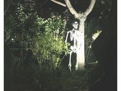 -济南方特东方神画