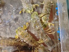 -辉记炭烧海鲜大排档·老字号(福田店)