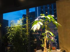 -日上三甘(三里屯店)
