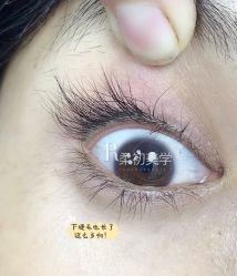 -RC半永久纹眉纹发际线