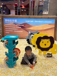 -卡通尼·Safari非洲探索乐园·生日会(金桥国际商业广场店)