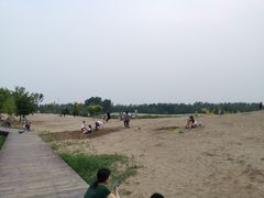 -东郊湿地公园