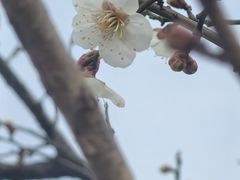 -同里国家湿地公园