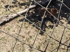 -西霞口神雕山野生动物世界