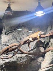 -Zoolung Zoolung动物主题公园(海信广场店)