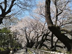 -名古屋城