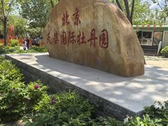 -太阳宫公园