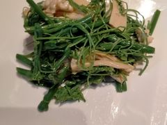 橄榄油丝瓜尖-北平楼·烤鸭·北京菜(牡丹园店)