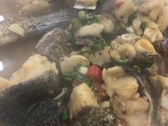 -全乐鱼馆·淳牌有机鱼直营店