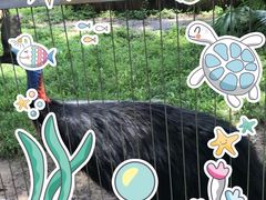 -深圳野生动物园