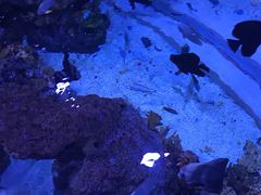 -成都浩海立方海洋公园