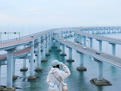 -星海湾跨海大桥